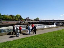 seattle tour from cruise port